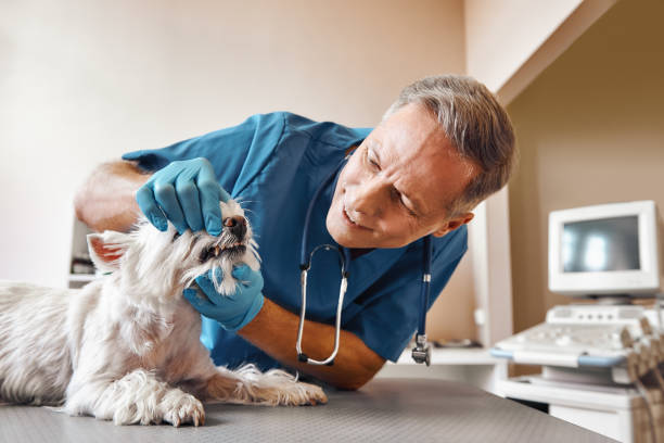 Best Emergency Tooth Extraction in North Edwards, CA